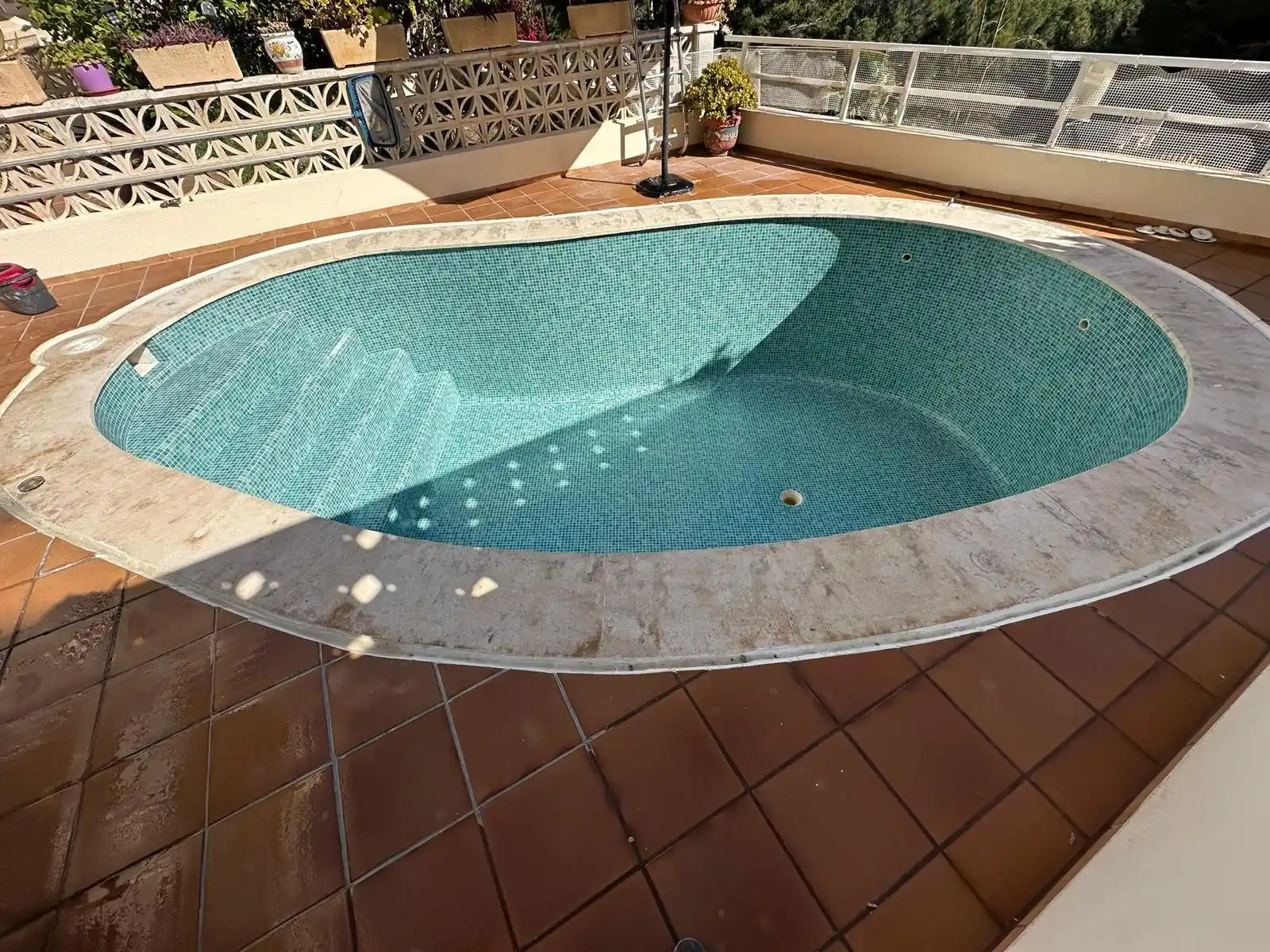 Piscina ovalada con revestimiento de gresite verde y borde de piedra clara en Palma